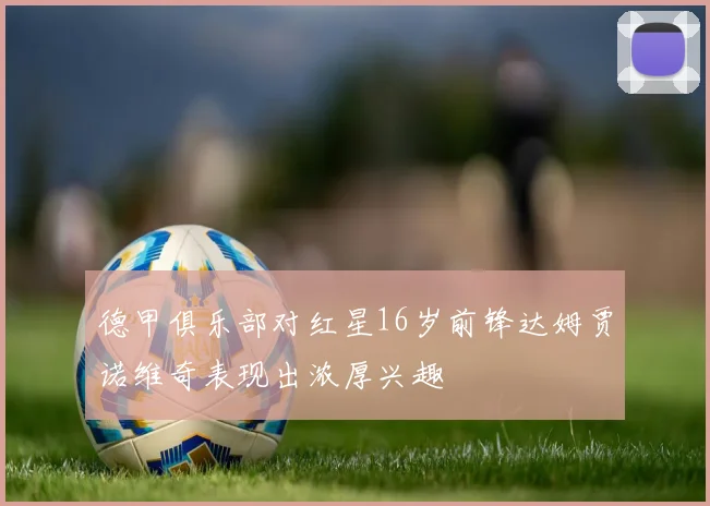 德甲俱乐部对红星16岁前锋达姆贾诺维奇表现出浓厚兴趣