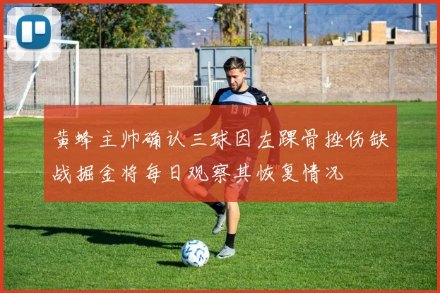 黄蜂主帅确认三球因左踝骨挫伤缺战掘金将每日观察其恢复情况