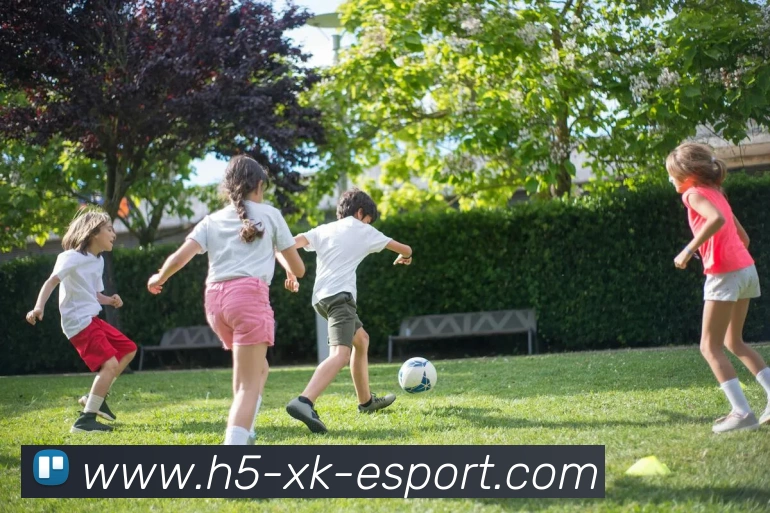 星空电竞平台生态图